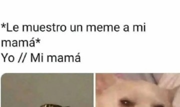 @memes_divertidoss