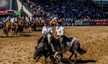Activistas pro derecho animal invadieron concurso de doma y fueron atacados por jinetes
