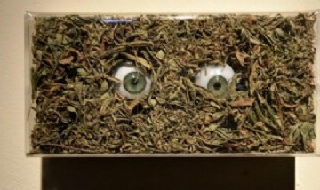 Se viene la exposición de esculturas y objetos hechos con marihuana