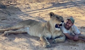 Sirga, la leona cariñosa que se volvió viral en redes por sus abrazos