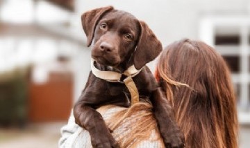 Ciencia: Los millennials tratan diferente a sus mascotas según un estudio