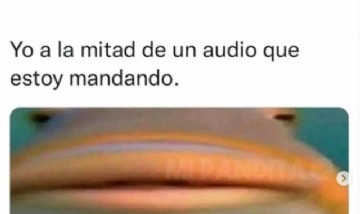 @memes_divertidoss