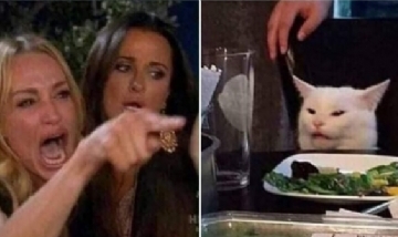 Habló la dueña del gato del meme más famoso del momento