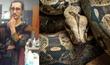 Un hombre murió asfixiado por una boa que tenía como mascota en su casa