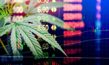 Wall Street: jóvenes inversores dispararon las acciones de empresas dedicadas al cannabis