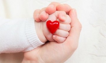 Donación de óvulos: Aumenta la demanda de donantes y pagan hasta $20 mil