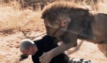 Un león se reencuentra con su cuidador y su reacción se volvió viral