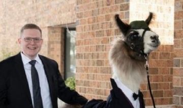 ¡Fiel a su palabra! Un joven llevó una llama a la boda de su hermana para cumplir una promesa