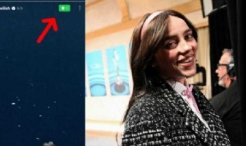 Billie Eilish agregó a todos sus seguidores a mejores amigos de Instagram: qué pasó