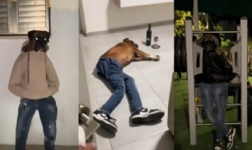 Grabó a su perro mientras usaba su ropa de humano y se volvió viral en TikTok
