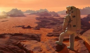 Insólito: invierten más de u$s7 millones para elaborar pan en el planeta Marte