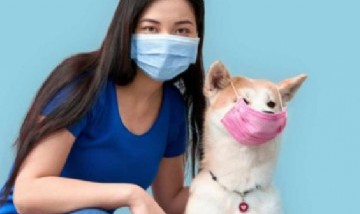 Corea del Sur: se testearán gatos y perros que presenten síntomas de Coronavirus
