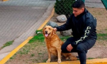 Recuperaron a Moana, la perra que habían robado a una nena de ocho años con epilepsia