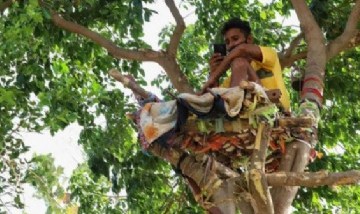 Aunque usted no lo crea: un joven vivió durante 11 días en un árbol para no contagiar a su familia de coronavirus