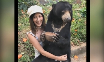 Un oso se sentó sobre las piernas de una turista