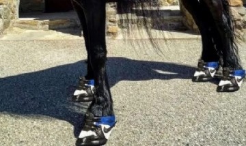 Crearon zapatillas para caballos que cuestan 1200 dólares cada una y se venden online