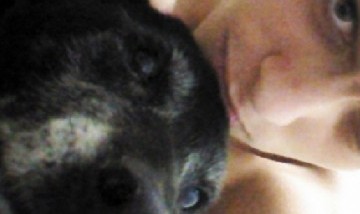 Lucas y Su Perrito, Rosario