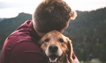 Canceló el casamiento porque su novia estuvo a punto de matar a su perro