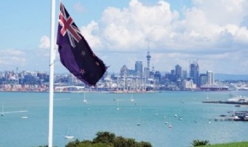 Una joven contó cómo es trabajar juntando kiwis en Nueva Zelanda: "No sé cómo aguantan"