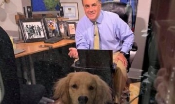 Home Office: El perro de un meteorólogo exigió "mimos" durante una transmisión en vivo