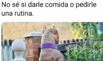 @memes_divertidoss