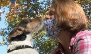 Viral: un perro le salva la vida a una mujer que estuvo perdida dos días en un bosque