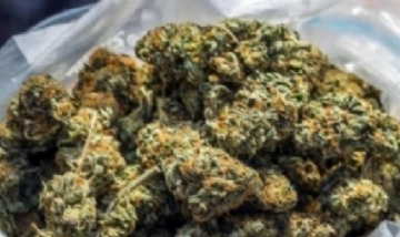 Canadá impulsa proyecto para la entrega express de cannabis a fin de erradicar la venta ilegal