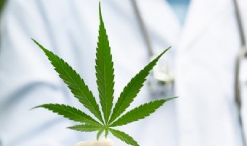 La legalización de la marihuana disminuiría su consumo, según un estudio