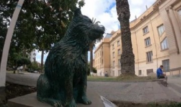 Los monumentos que le rinden homenaje a los perros en la provincia de Buenos Aires