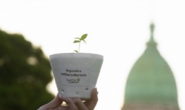 El Gobierno nacional prepara la nueva reglamentación del cannabis medicinal