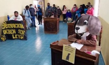En Jujuy una concejala sesionó disfrazada de perro para pedir castración masiva