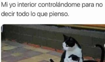 @memes_divertidoss