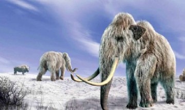 Descubren el esqueleto de un mamut lanudo prácticamente intacto en Siberia
