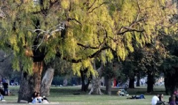 Murió una chica de 23 años mientras realizaba actividad física en una plaza de La Plata