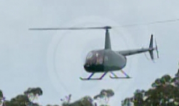 Nuevo video del helicóptero que tiró el animal a la pileta