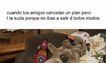@animamemes