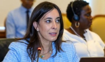 Luego de los cruces con Domingo Cavallo, Milei echó a su hija de la Embajada argentina ante la OEA