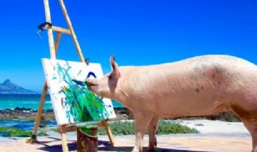 Pigcasso: la cerda que es furor en las redes por pintar cuadros y ya recaudó 70.000 dólares