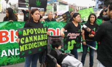 Artistas argentinos piden por la ley de autocultivo de cannabis