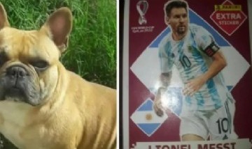 Un nene de siete años ofrece la figurita de Messi para recuperar al perro de su amiga
