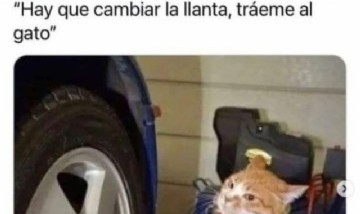 @memesparratodes