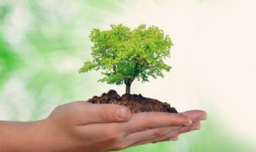 Día Mundial del Medio Ambiente: Claves para mejorar nuestra relación con la naturaleza