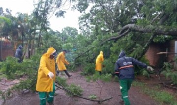 Tras nuevo periodo de lluvias, se intensifica la labor en la ciudad de Posadas