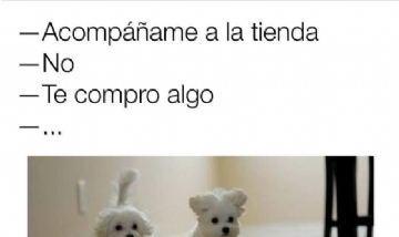 De compras