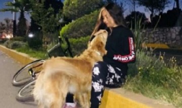 Majo y Su Perrito, Pachuca