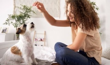 Coronavirus: Los perros pueden detectar el Covid-19, según un estudio