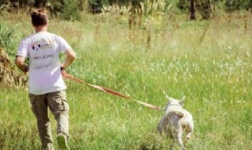 Adopta Un Camperito: lanzaron la primera plataforma de adopción de perros de la Argentina