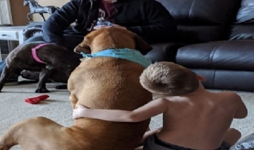El compañero más fiel: Una madre castigó a su hijo y su perro lo acompañó en la sanción