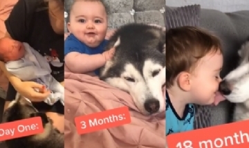 El Tik Tok más tierno del mundo: Un bebé y su mascota juntos siempre