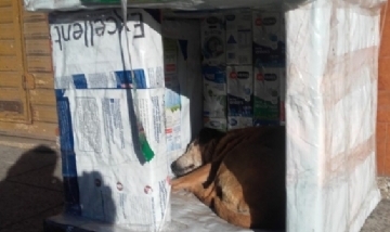 Estudiantes de Moreno arman cuchas reciclando envases tetrapack
